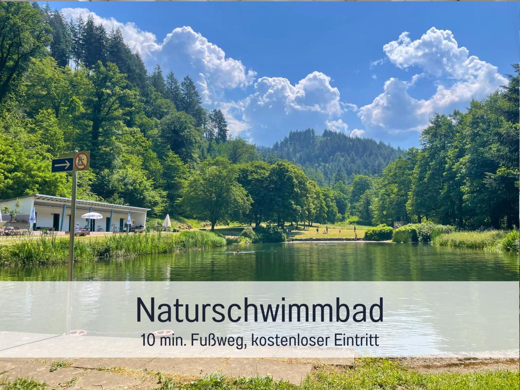 Ferienwohnungen Auszeit Langmatt Sulzburg Esterno foto
