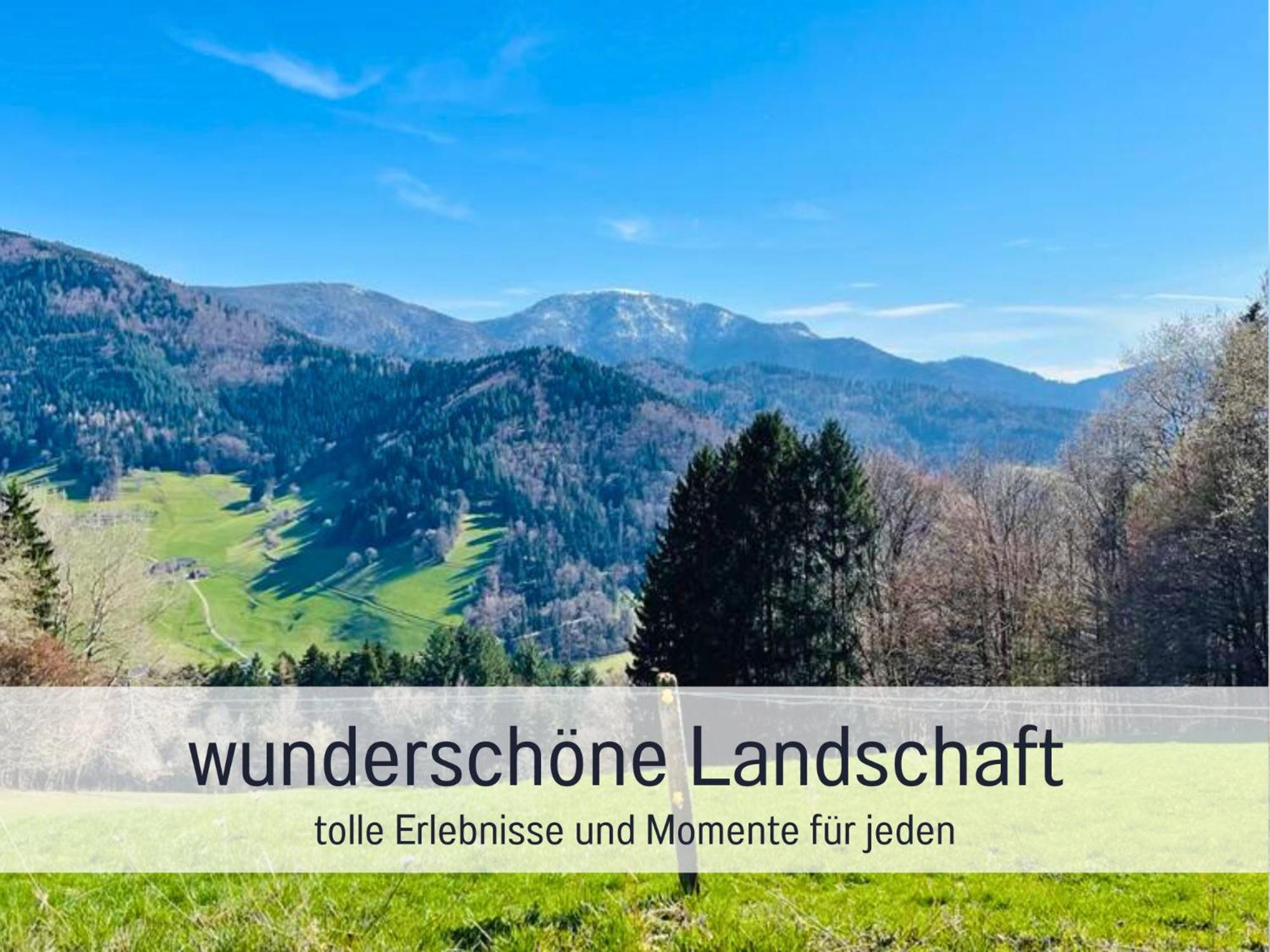 Ferienwohnungen Auszeit Langmatt Sulzburg Esterno foto