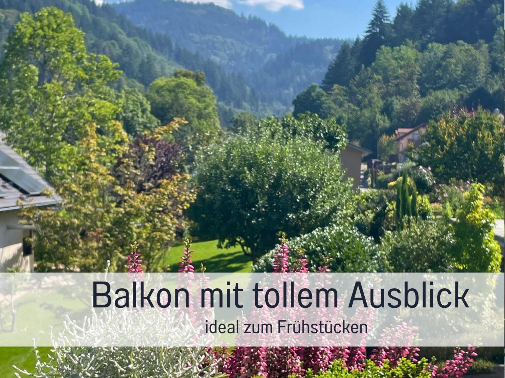 Ferienwohnungen Auszeit Langmatt Sulzburg Esterno foto